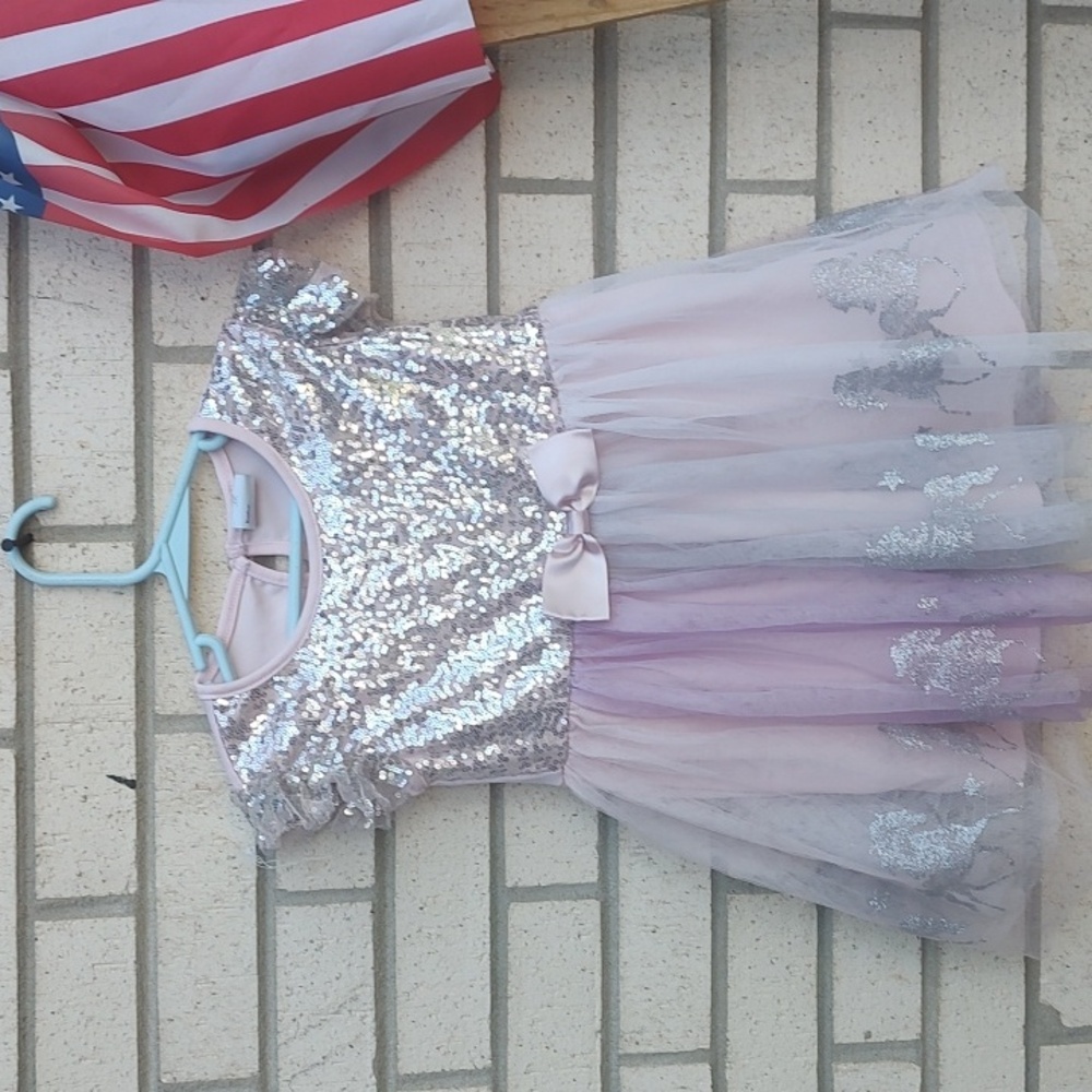 🦄 Pink,Silver Dress/Sparkle